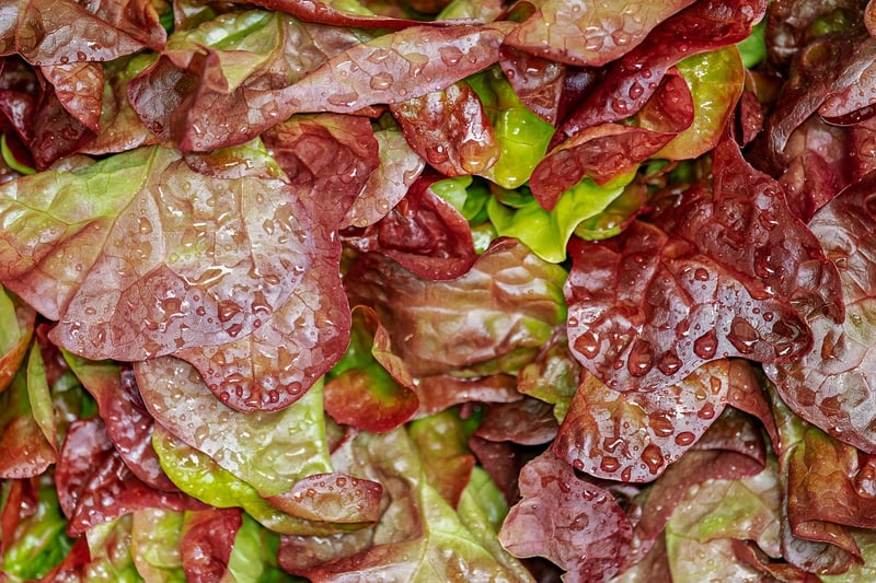 Superfood salads